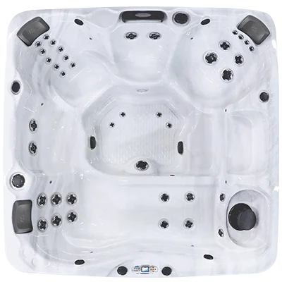 Avalon EC-840L hot tubs for sale in Kolkata