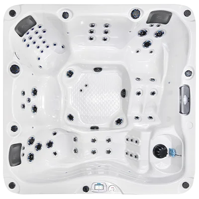 Malibu-X EC-867DLX hot tubs for sale in Kolkata